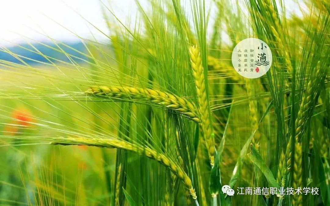 岳陽市江南通信職業(yè)技術(shù)學(xué)校,岳陽江南學(xué)校,岳陽江南通信學(xué)校,岳陽職業(yè)學(xué)校 岳陽市江南通信職業(yè)技術(shù)學(xué)校,岳陽江南學(xué)校,岳陽江南通信學(xué)校,岳陽職業(yè)學(xué)校