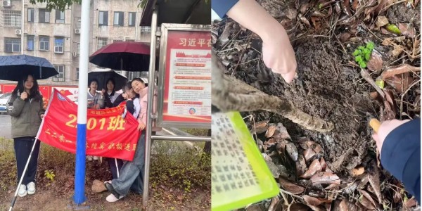 岳陽市江南通信職業(yè)技術(shù)學校有限公司,岳陽江南學校,岳陽江南通信學校,岳陽職業(yè)學校